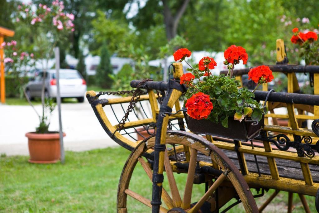 Balaton Eldorado Camping Hotel Badacsonytördemic Exterior foto
